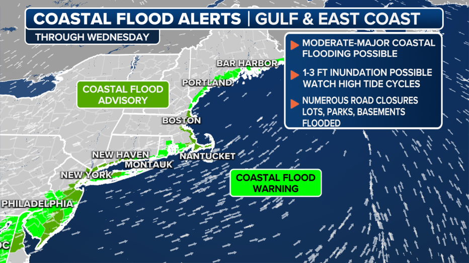 Coastal flood alerts through Wednesday. (FOX Weather)