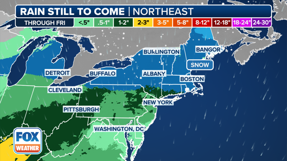 Forecast rain totals in the Northeast through Friday, Jan. 26, 2024. (FOX Weather)