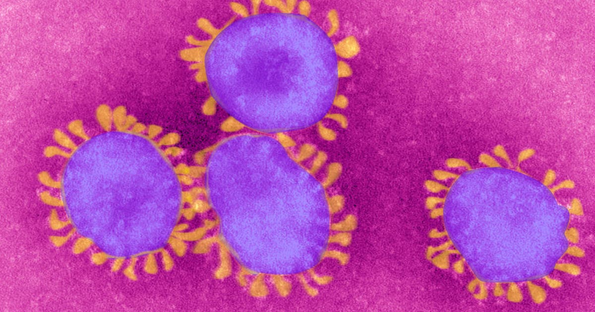 COVID-19 variants called FLiRT are spreading across US | FOX 5 New York