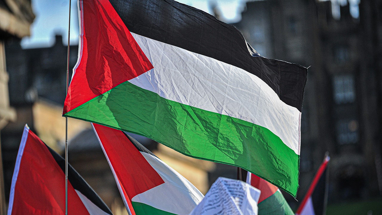 拜登访纽约激发哥伦布环岛的亲巴勒斯坦抗议活动