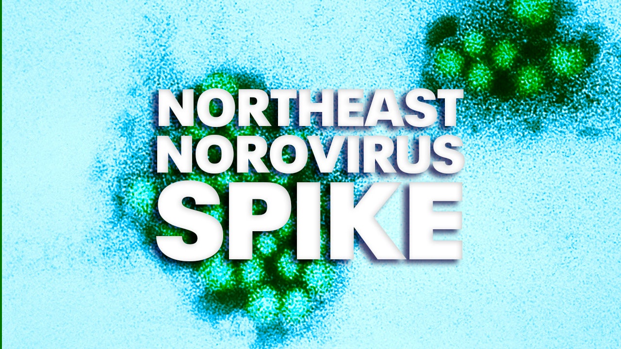 Norovirus 2024 CDC reports stomach bug spike in Northeast