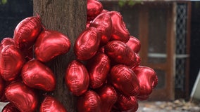 Here's what happens when metallic balloons touch power lines, PG&E warns