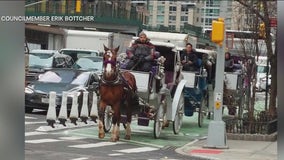 Anger over horse-drawn carriages using bike lanes in Manhattan