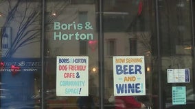NYC dog lovers rally to rescue beloved café Boris and Horton