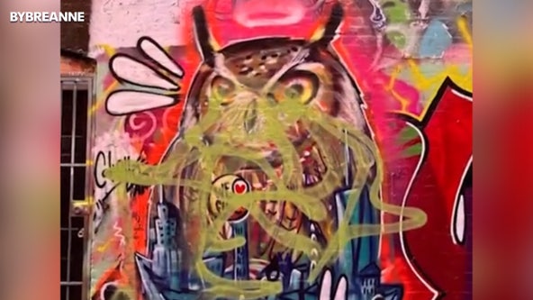 Flaco mural vandalized, restored days after iconic NYC owl found dead