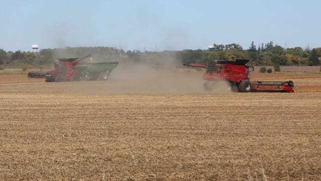 Chlormequat, pesticide linked to infertility, found in Cheerios and Quaker Oats, study claims