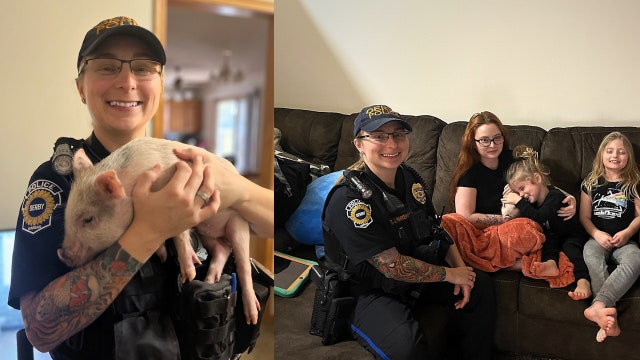 Officer replaces therapy pig for young boy after tragic animal attack