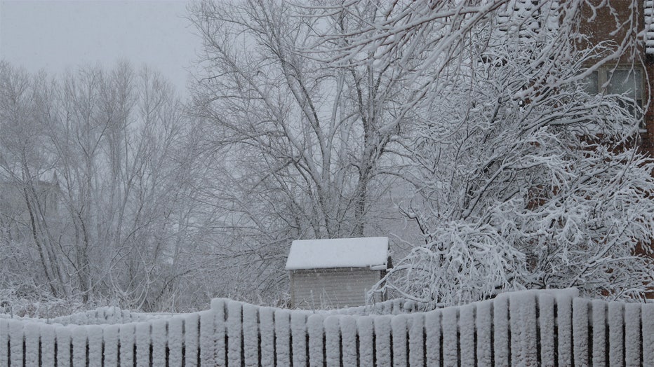 NEW JERSEY, UNITED STATES - FEBRUARY 13: A view of snow covered trees and wooden fences during a snowfall at Hudson County in New Jersey, United States on February 13, 2024. (Photo by Islam Dogru/Anadolu via Getty Images)