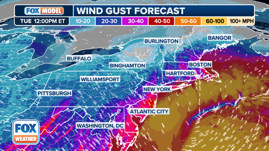 Potential wind gusts on Tuesday, Feb. 13, 2024. (FOX Weather)