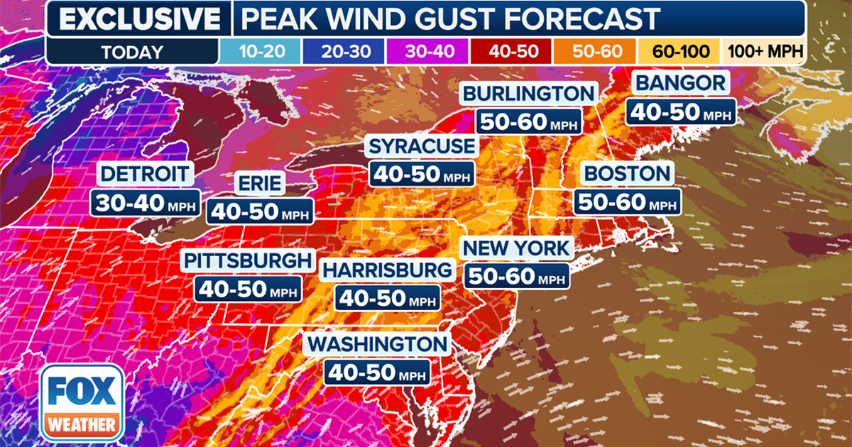 Wind Advisory NYC: Gusts up to 60 mph could spark power outages, flight ...