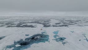 The Arctic Ocean could be ‘ice-free’ by 2030s, study warns