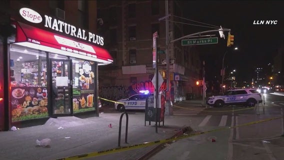 Twins stabbed in Brooklyn after refusing man's advances: Witnesses