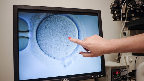 Gay couple sues NYC for denying IVF coverage