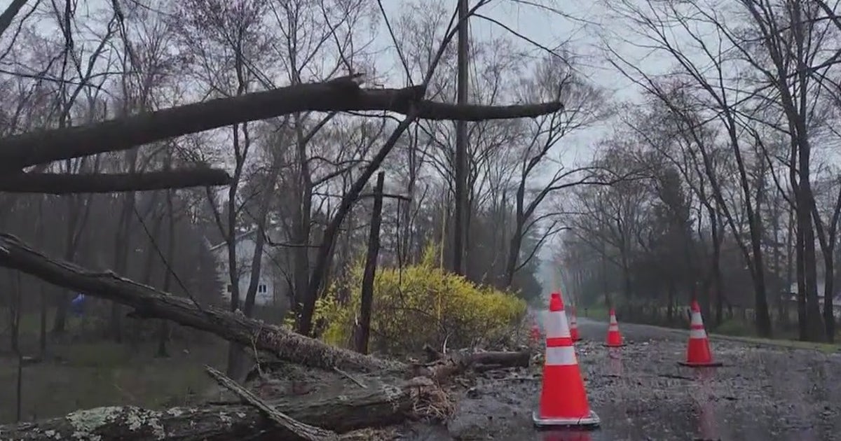 NY woman killed as tree falls on car during Wednesday's storm | FOX 5 ...