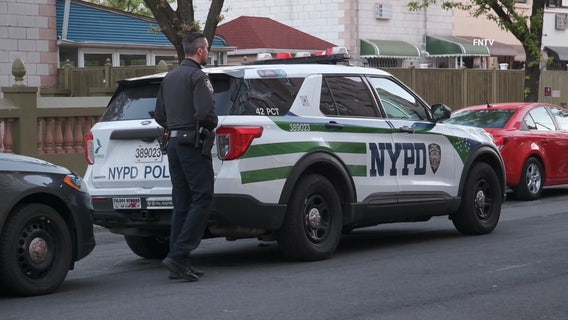 Man killed by own pit bull in NYC