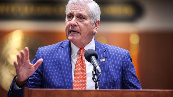 Nassau County Exec. Bruce Blakeman pitches deputizing private citizens