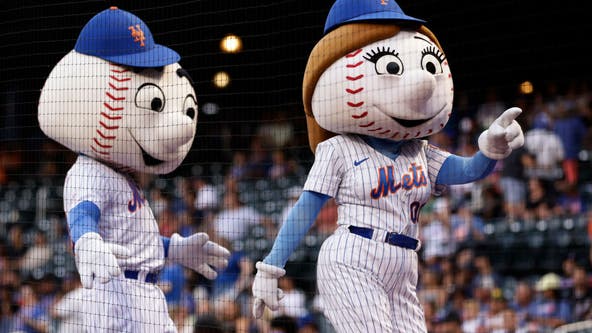Dream job alert? How you could become the next Mr. or Mrs. Met