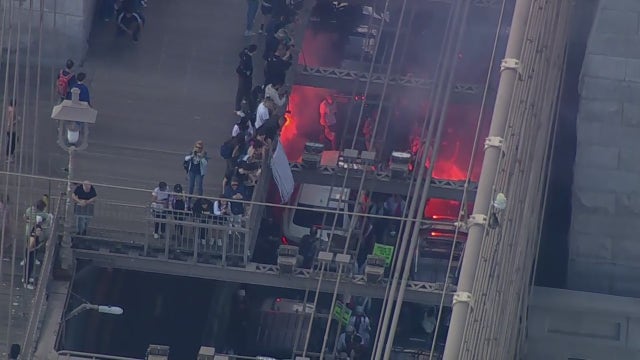 Pro-Palestinian protesters storm Brooklyn Bridge, blocking traffic