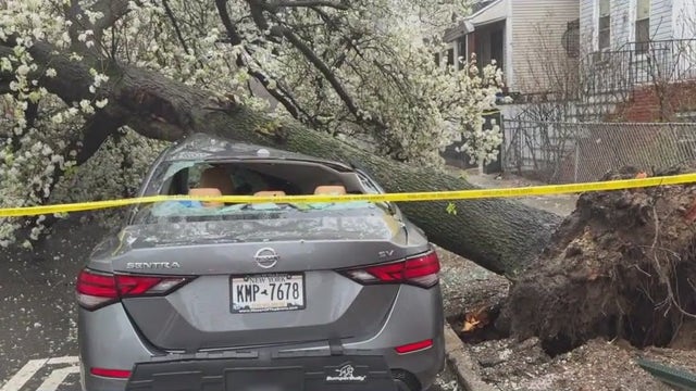 NYC weather: High winds, drenching rain slams Tri-State area l Forecast