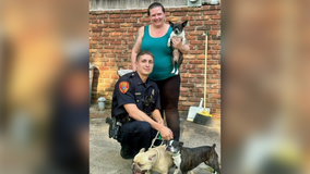 Long Island police officer rescues 3 dogs from house fire