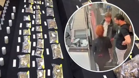 NYC museum curator allegedly smuggles 1,500 spider, scorpion samples out of US: report