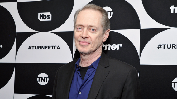 Person in custody in random NYC attack on Steve Buscemi