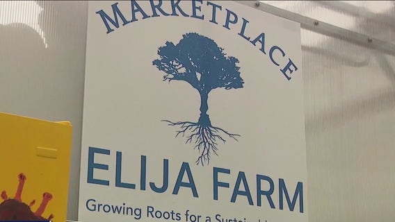 ELIJA Farm grows opportunities for adults with autism on Long Island