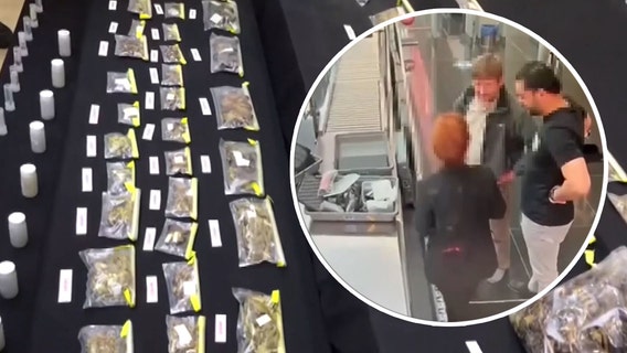 NYC museum curator allegedly smuggles 1,500 spider, scorpion samples out of US: report