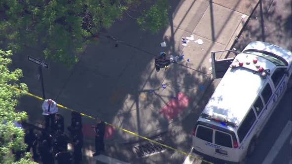 Two teenagers stabbed in Brooklyn: police