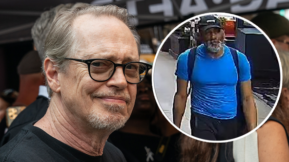Steve Buscemi punched in NYC: Photo shows alleged attacker, sources say
