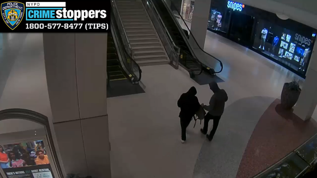 Couple steals $55K worth of jewelry from kiosk inside Kings Plaza Mall