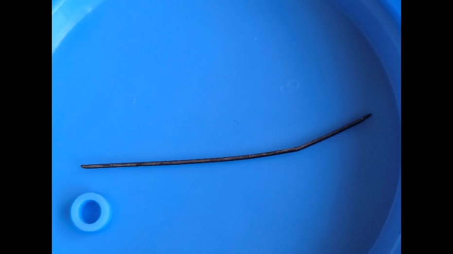 wire in petri dish