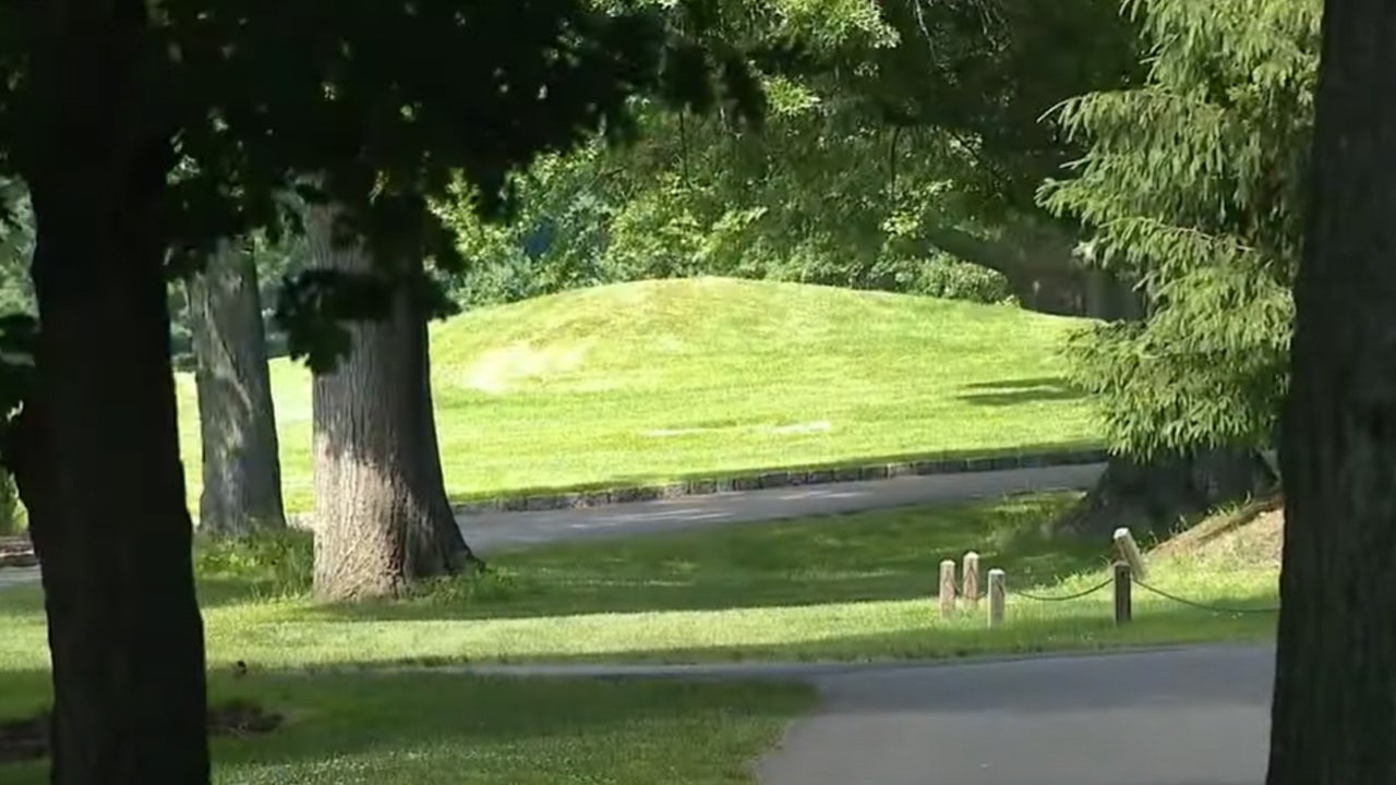 Man arrested after starting fight at Bronx golf course