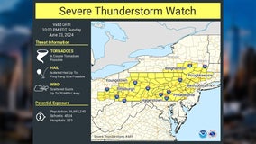 Severe thunderstorm watch issued as heat wave continues across NYC area