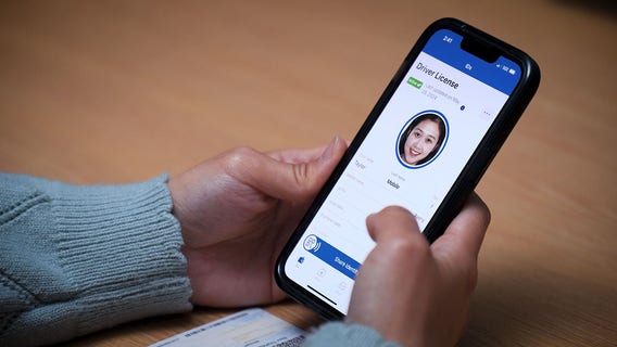 NY DMV says state IDs now available on phones