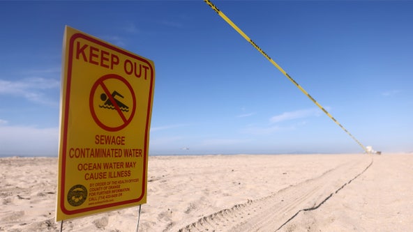This NY beach named among America's most bacteria-polluted: group