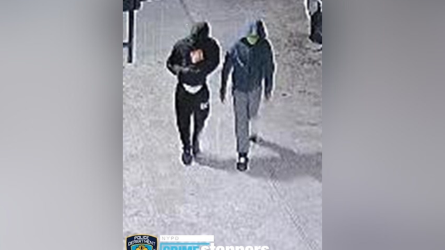 Driver shot in the face inside parked minivan in Brooklyn