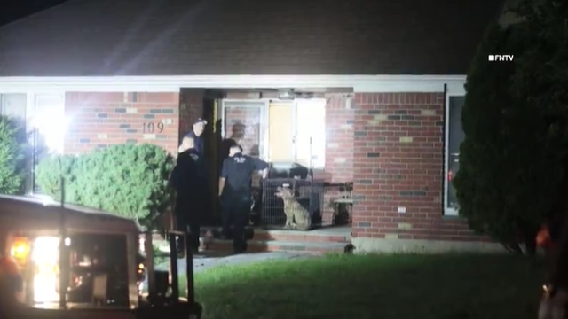 Group of squatters, pit bulls removed from Long Island home