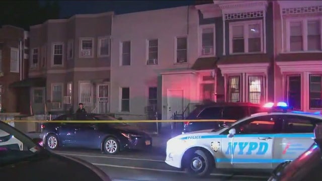 Man shot across the street from Brooklyn playground: NYPD