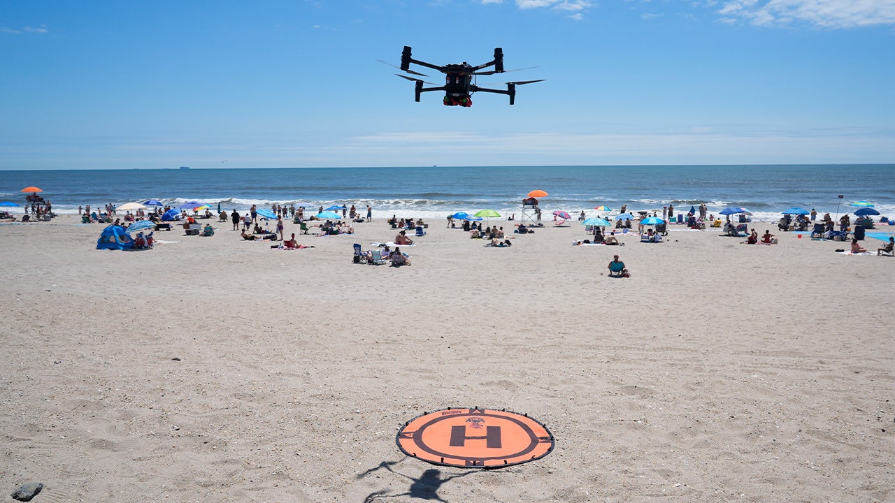 On NYC Beaches, Angry Birds Fight Drones Patrolling For Sharks And ...