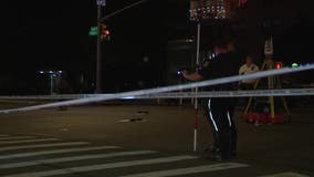 Girl, 3, fatally struck by SUV while crossing NYC street with mom; brother injured