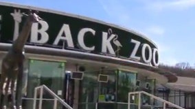 Lightning strike ignites fire at Turtle Back Zoo building in NJ