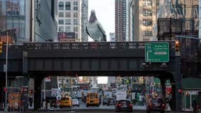 Massive 16-Foot pigeon sculpture to perch on NYC's High Line. Here's when