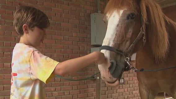 Long Island horse therapy program helps children cope with family trauma