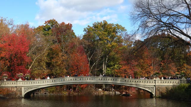 NYC fall foliage in Central Park peaks: Here's how to see it