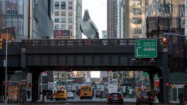 Massive 16-Foot pigeon sculpture to perch on NYC's High Line. Here's when
