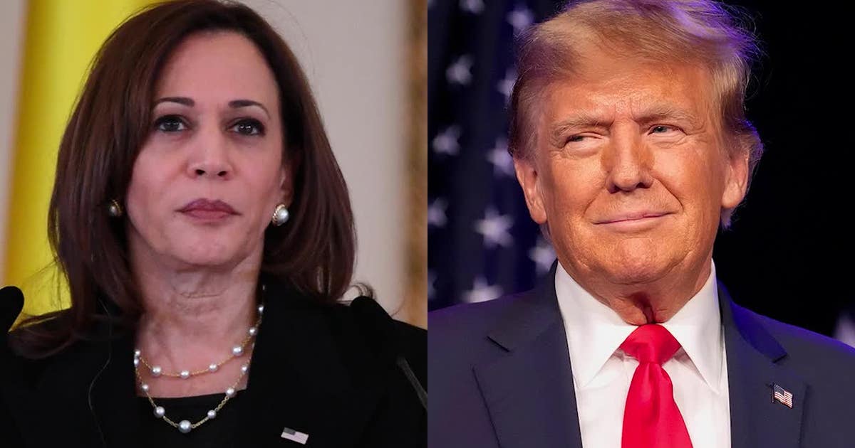 Presidential debate 2024: When will Kamala Harris and Donald Trump face ...