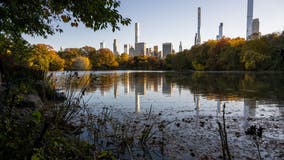 First day of Fall: Here's when the leaves will change color in New York