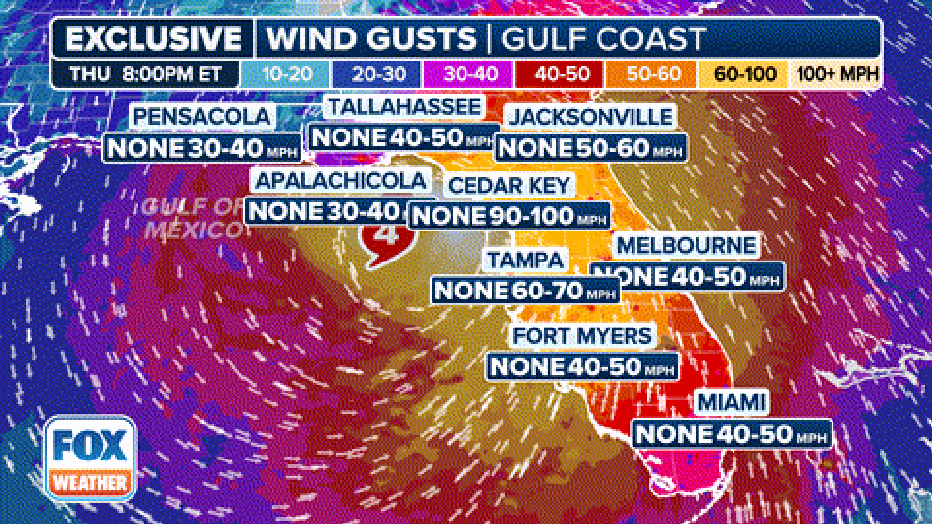 A look at the exclusive FOX Model showing wind gust potential in the Gulf Coast on Thursday.
(FOX Weather)