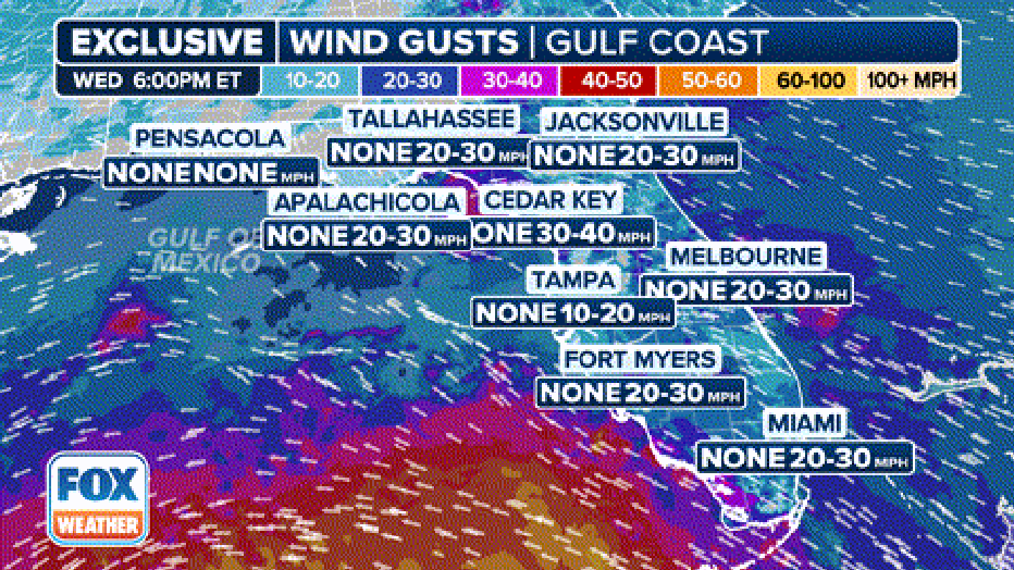 A look at the exclusive FOX Model showing wind gust potential in the Gulf Coast on Thursday.(FOX Weather)